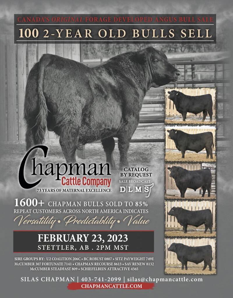 2023 Bull Sale flyer